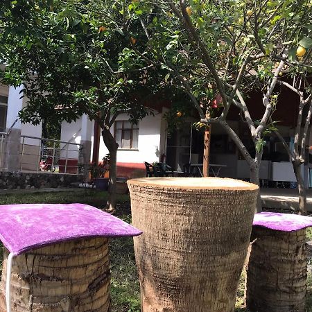 Cirali Irmak Hotel Ngoại thất bức ảnh