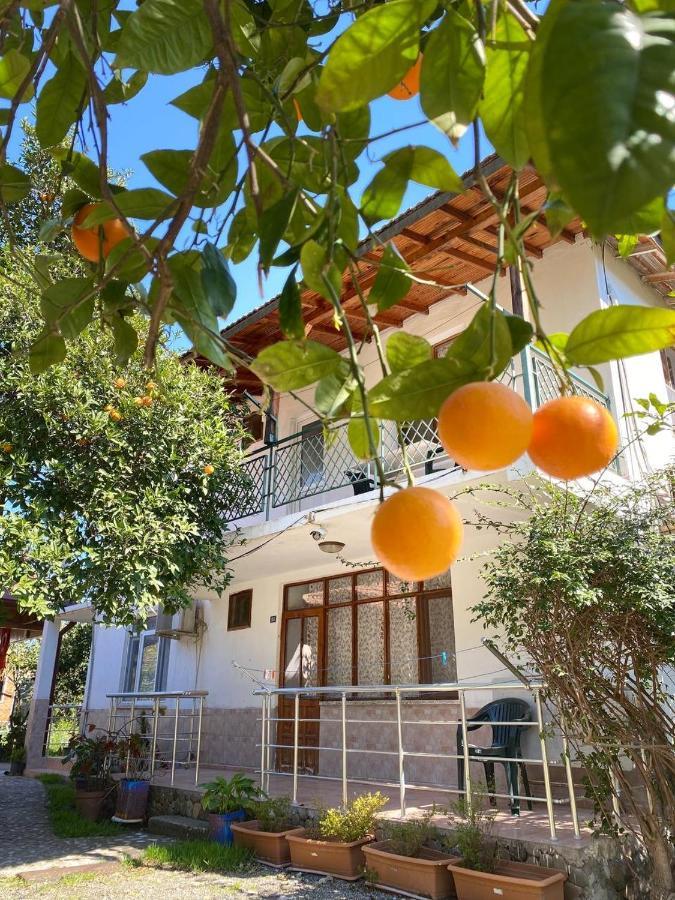 Cirali Irmak Hotel Ngoại thất bức ảnh