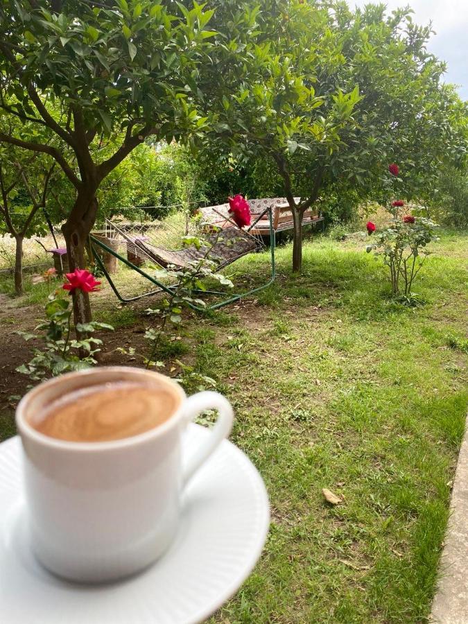 Cirali Irmak Hotel Ngoại thất bức ảnh